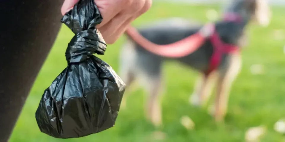 Degradable Dog Animal Poo Litter Waste Bags: 225 Bags Same Day postage Premium